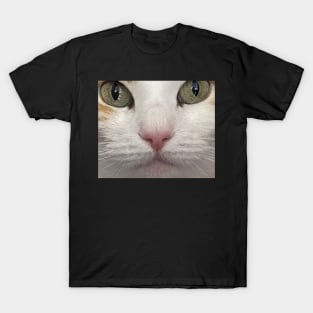 Cat Nap T-Shirt